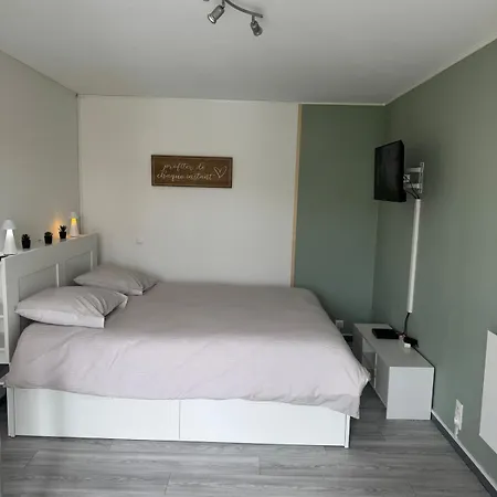 Studio, Sea Side Apartment